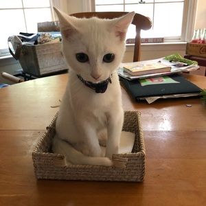 Meet your Posher, Libby